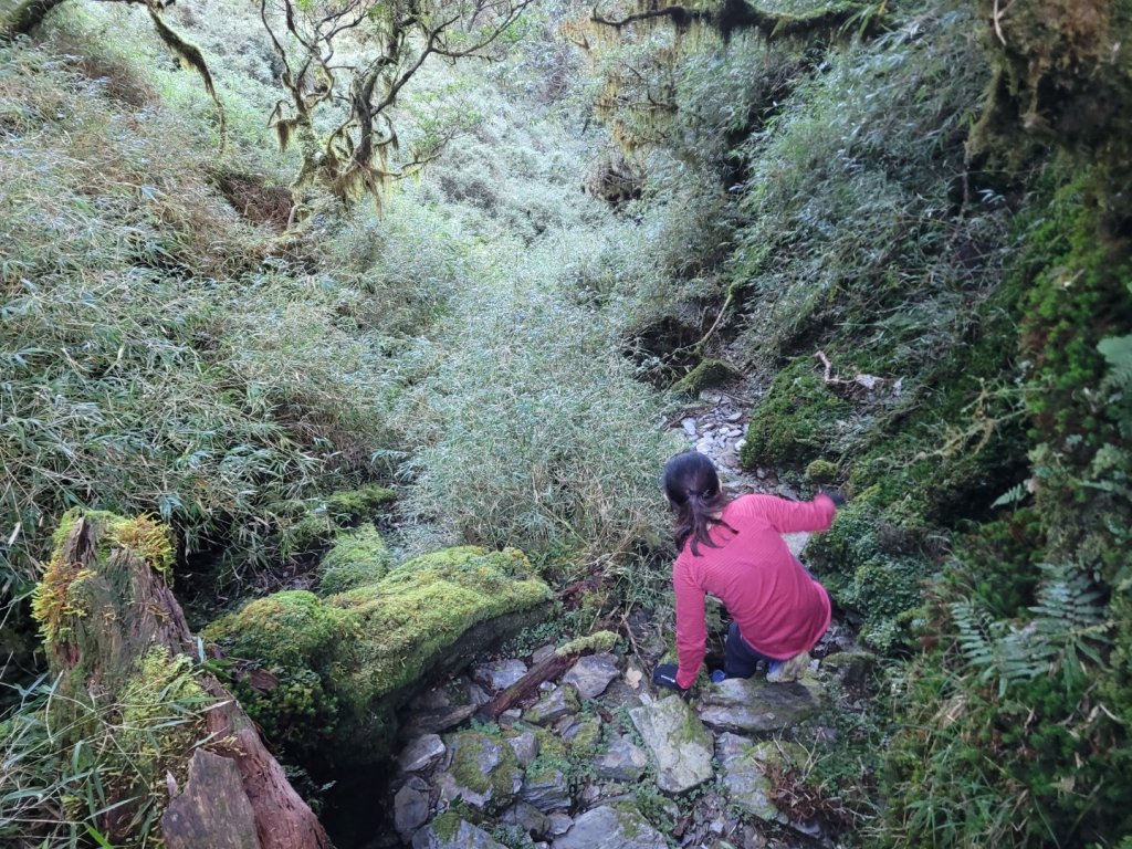 20231103 南一段四天_2355940