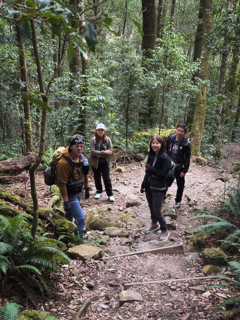 鳶嘴山上的瘦稜_2983864