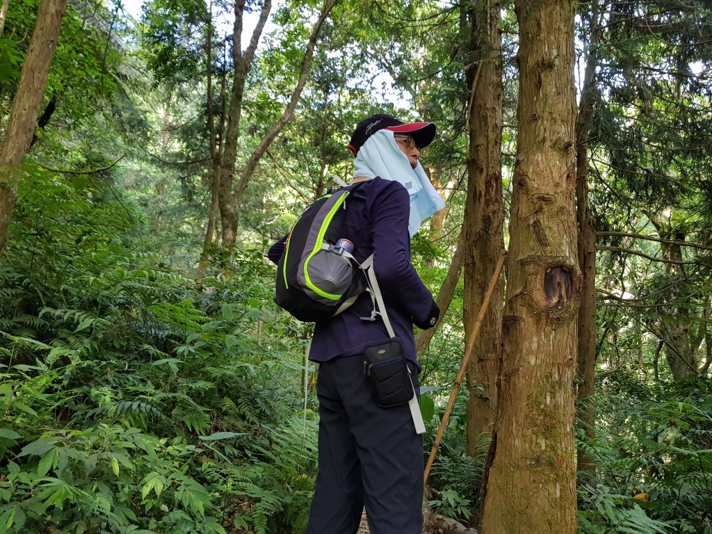 復興三尖之那結山_1423061