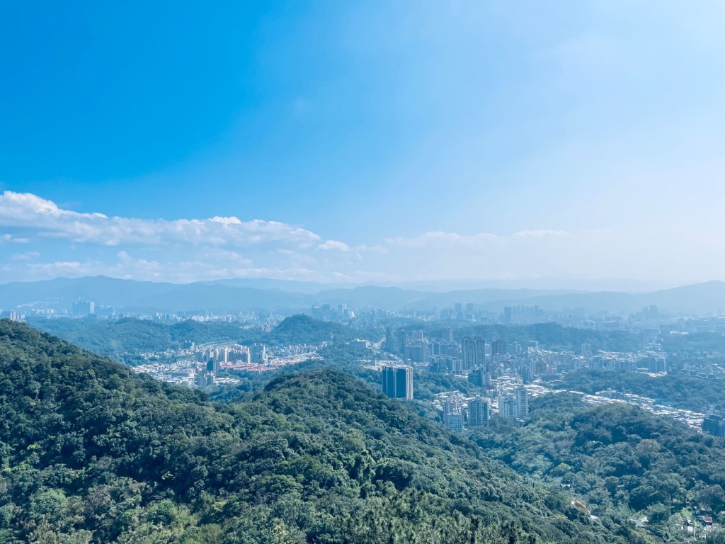 20250228 碧山巖賞櫻&鯉魚山步道_2736094