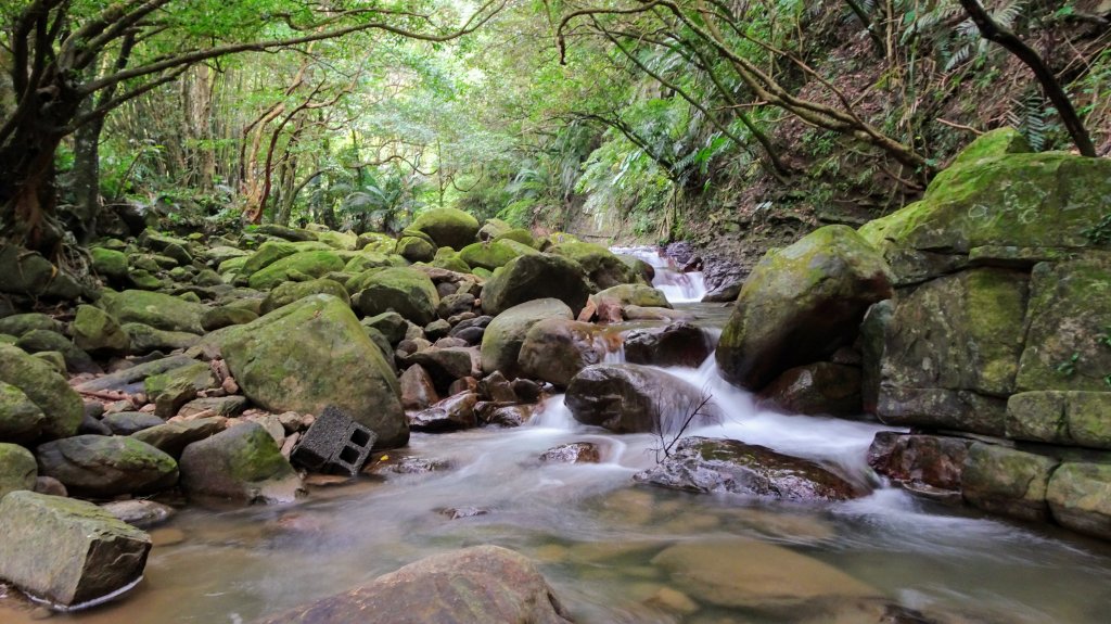 草嶺古道封面圖