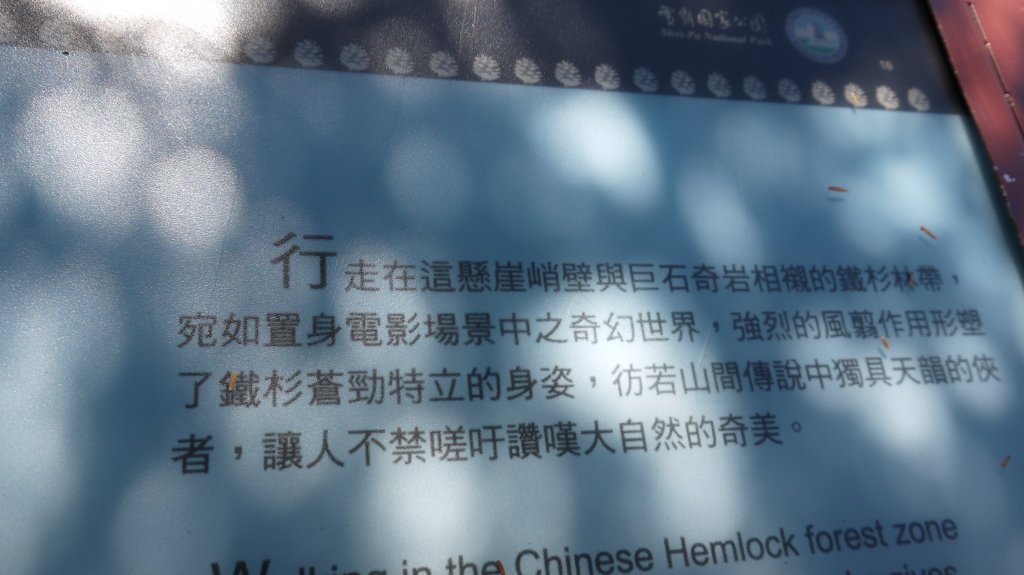 池有山單攻登山健行趣(百岳52)_1515390