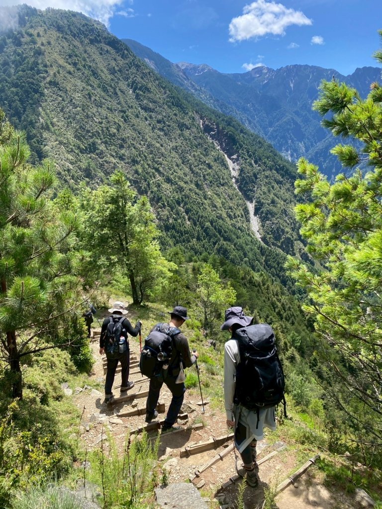 2025/08/17塔塔加、麟趾山、大鐵杉_2891621