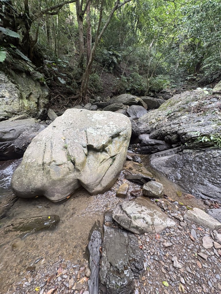 20251129女仍山步道_2951832