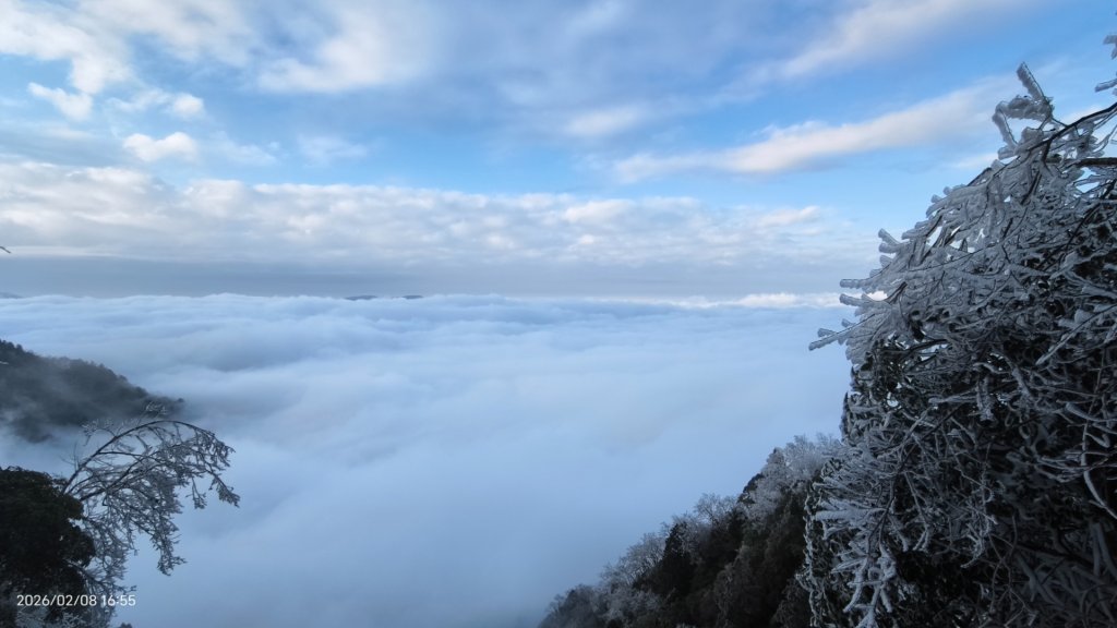 #霧淞 #雲海 #雲瀑 #霧虹 #太平山 #望洋山 #觀雲步道 #翠峰道路  2/8_2995291