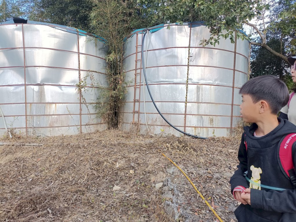 穿霧隘勇線-中三鹿_2991747