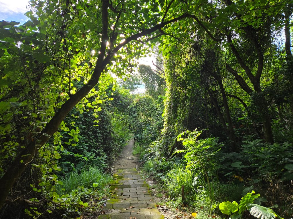 虎頭埤環湖步道（新化虎頭山）_2890918