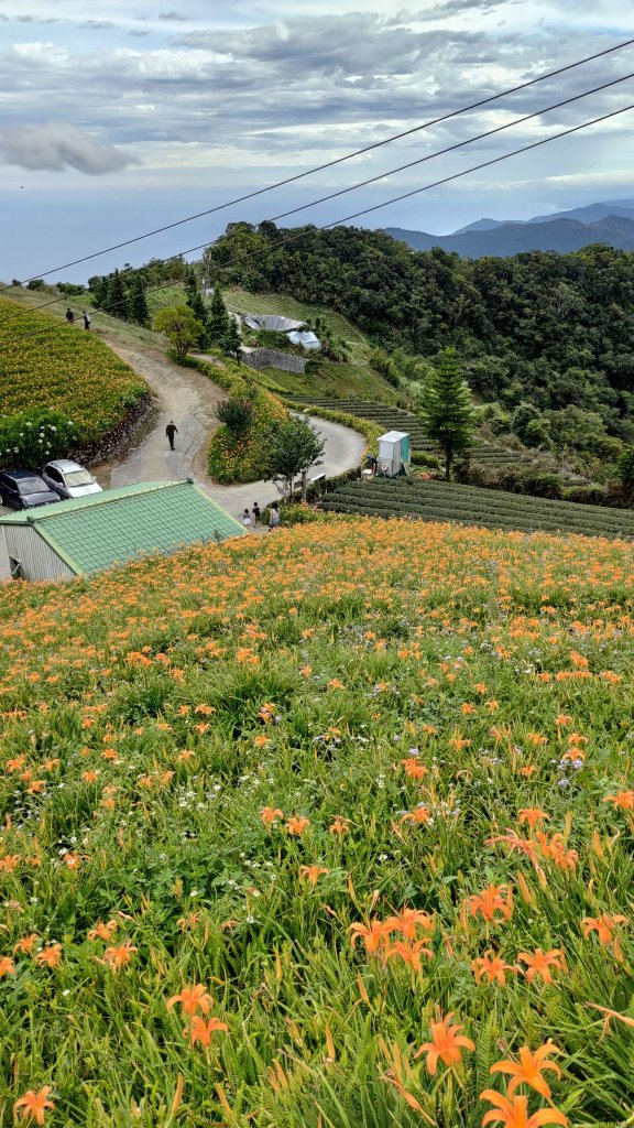 太麻里山_1834583