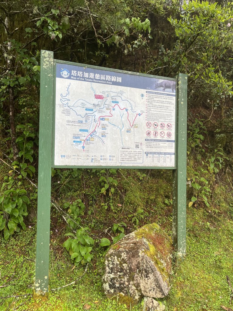 鹿林山-鹿林前山-真鹿林山-石水山-石水山基點峰 2025.5.25_2798411