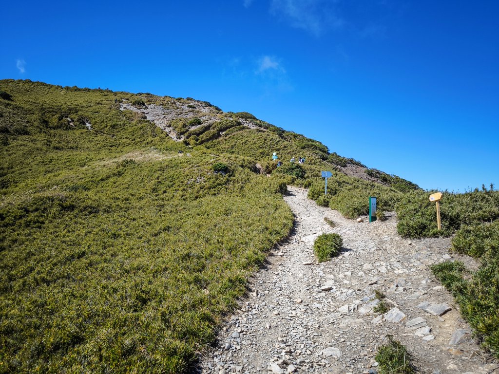 2025-11-07 合歡北峰、小溪營地、鷹石尖、北峰名樹_2934348