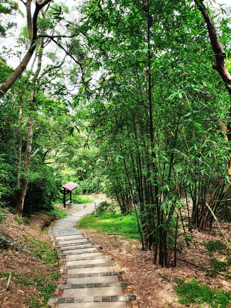 苗栗北坑山，東洗水山，二本松山，司馬限林道，犁頭山，吧哩國山，文山古道，打牛崎古道，四寮溪生態步道_1701045