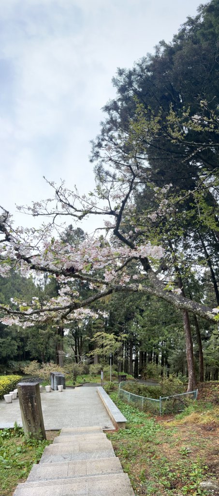 2023尋訪消失的眠月線聚焦失落沉寂的百年鐵道之旅_2110456