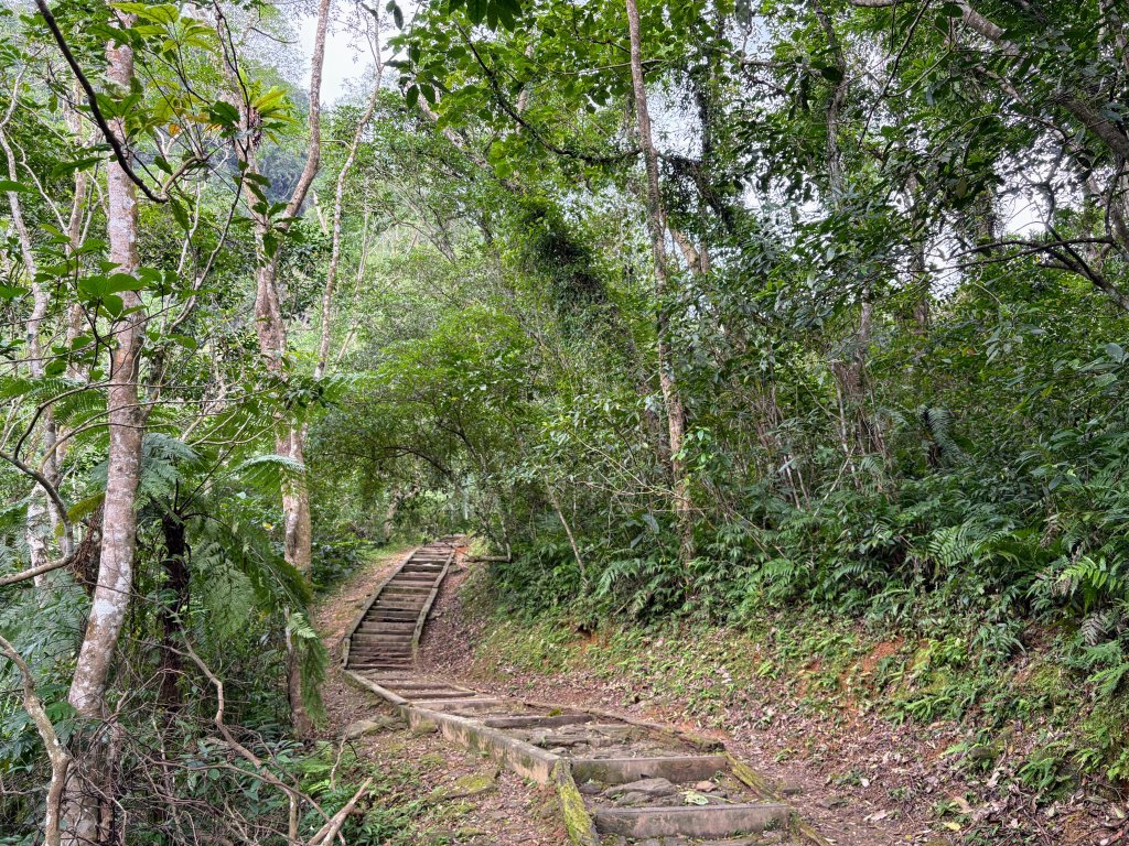 鯉魚山步道群_2728310