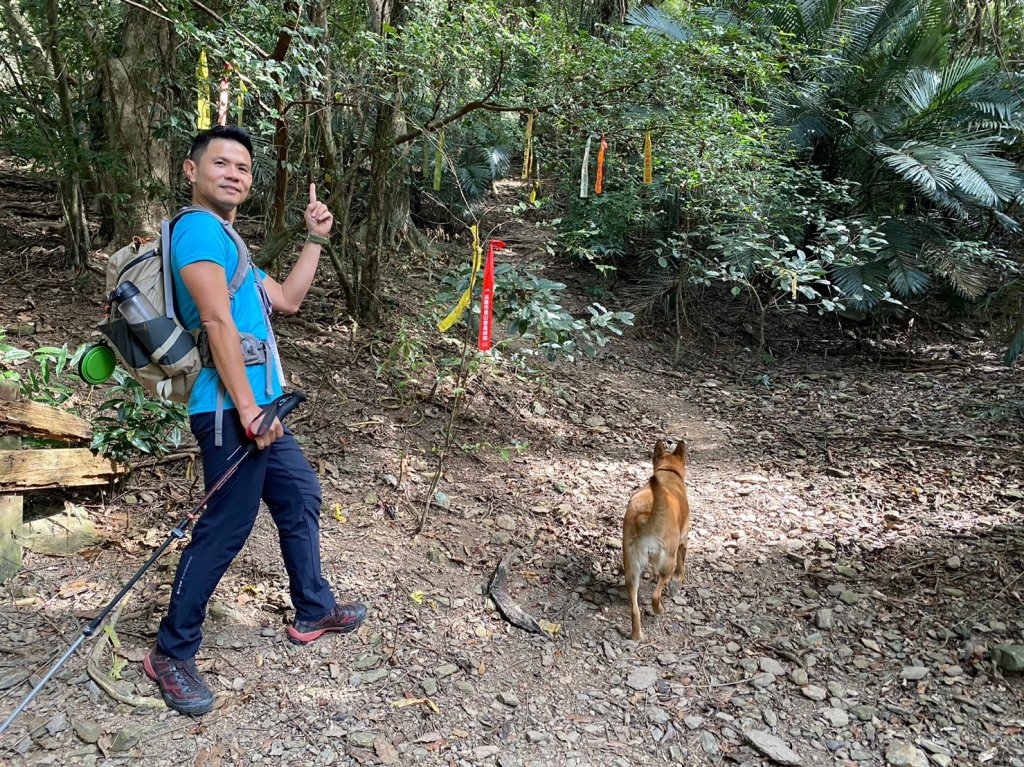 六龜美輪山【享受簡單純粹的登山樂趣】_2415544