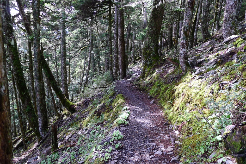 雪山主東峰 - 首座百岳之行_58662