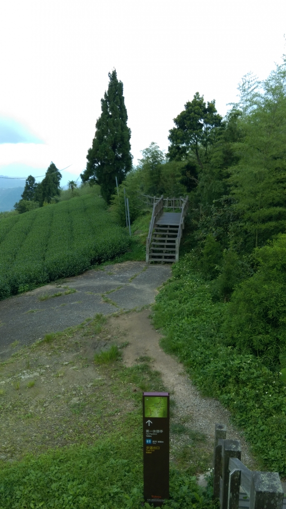 隙頂二延平的綠色傳說_55382