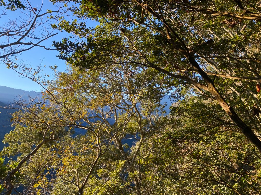 向天湖山_2604211