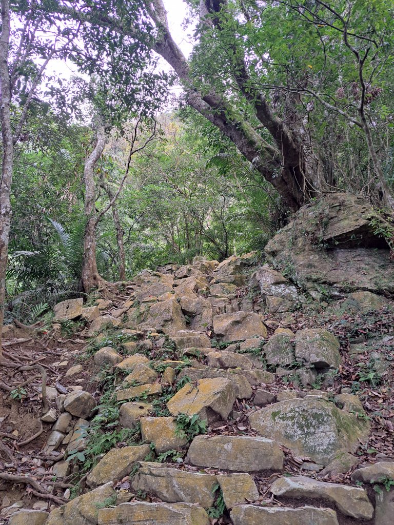 砂卡礑二日行D1：得卡倫步道→大禮部落→砂卡礑林道→立霧山→大同部落20231202_2368230