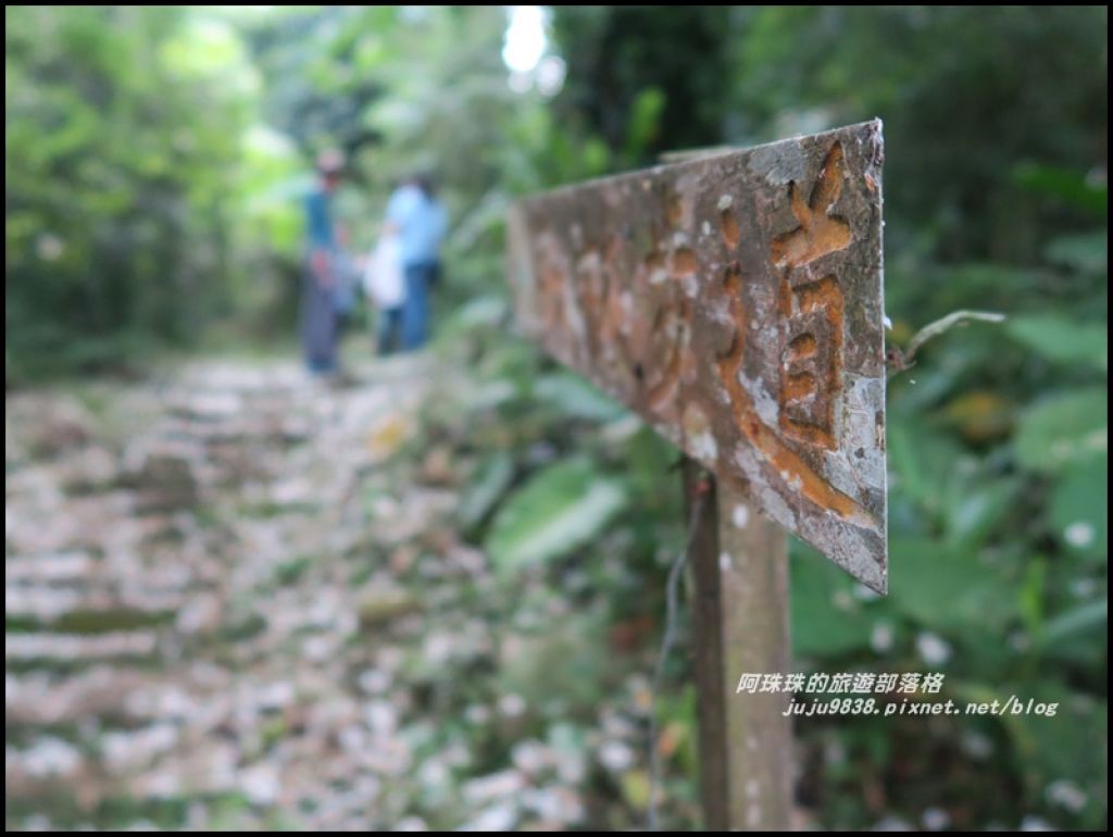 十一指古道_320252