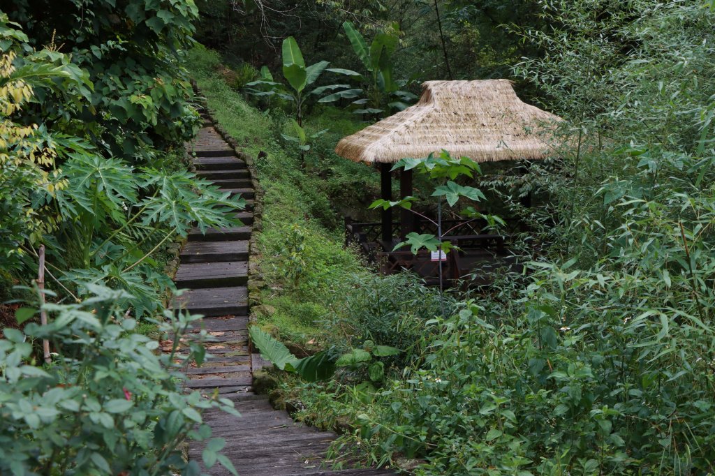 【活動】山海圳 - 原鄉之路DAY4_1796454