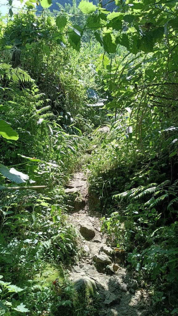 20251004 馬那邦山 - 珠湖 登山口_2904879