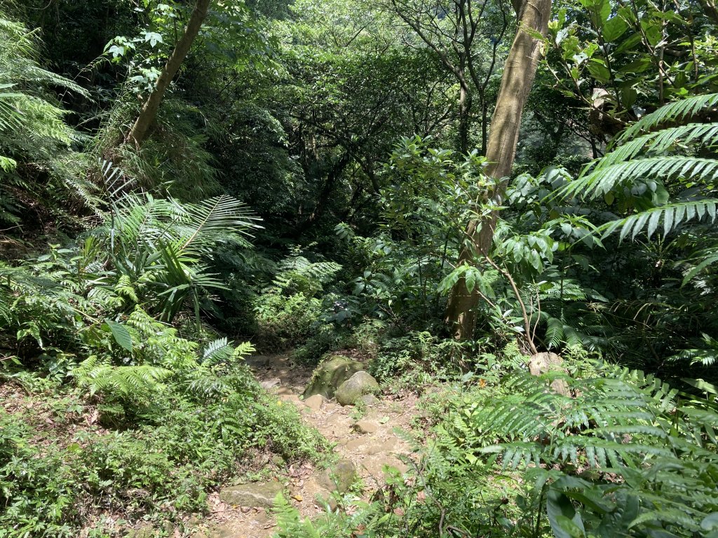 鳶山（福德坑山）、彩壁、鳶尾山_987987