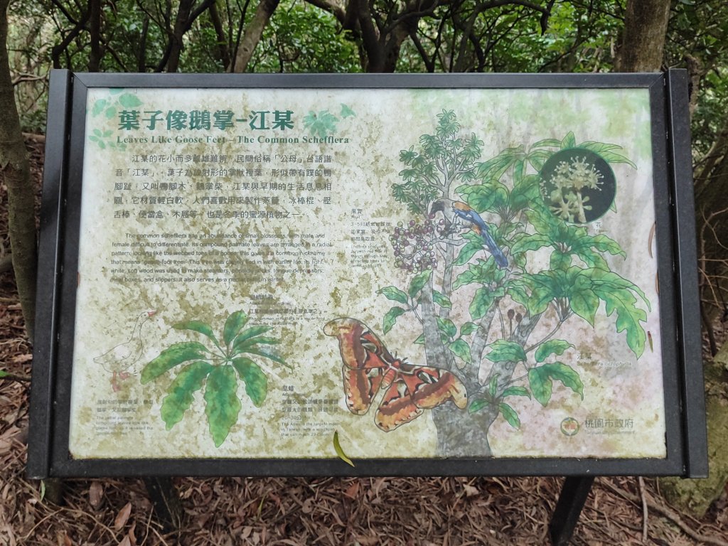 五酒桶山_3003911