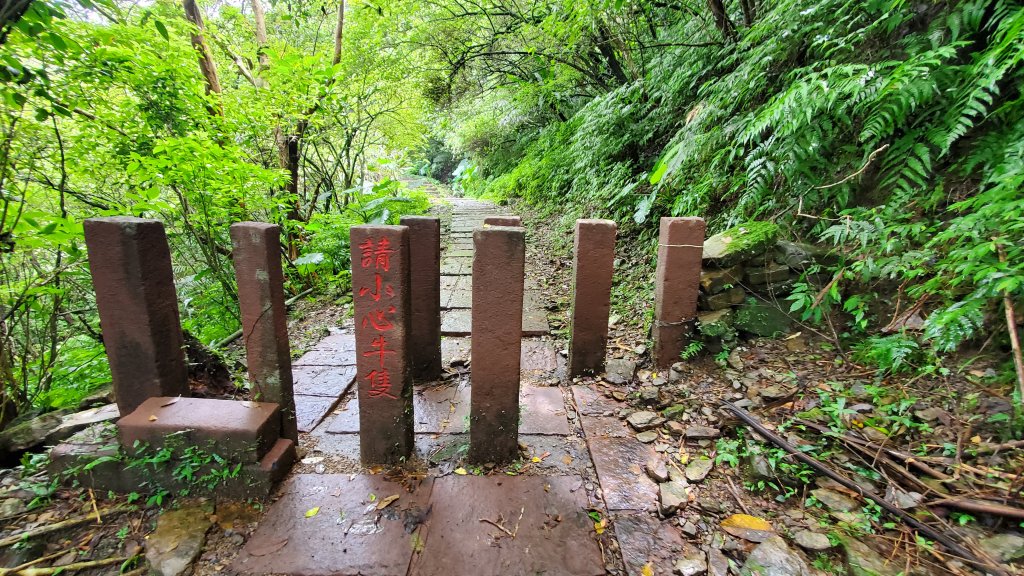 桃源谷大溪線 鼻頭角步道_1736280