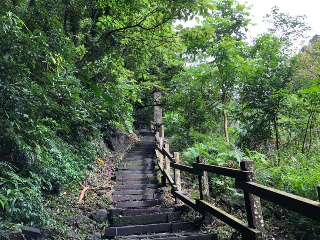 嘉義連峰獨立山大巃頂紅楠坑觀音石阿拔泉_633135