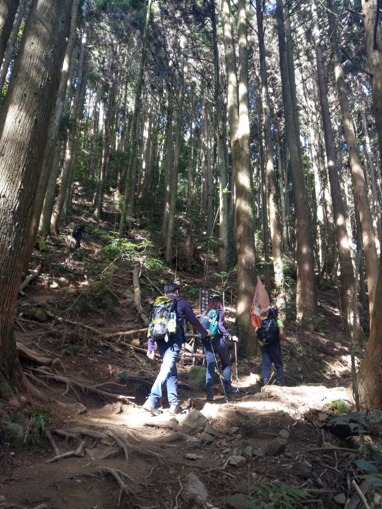 台版富士山「加里山」(小百岳#34) 2020/12/19_1424807