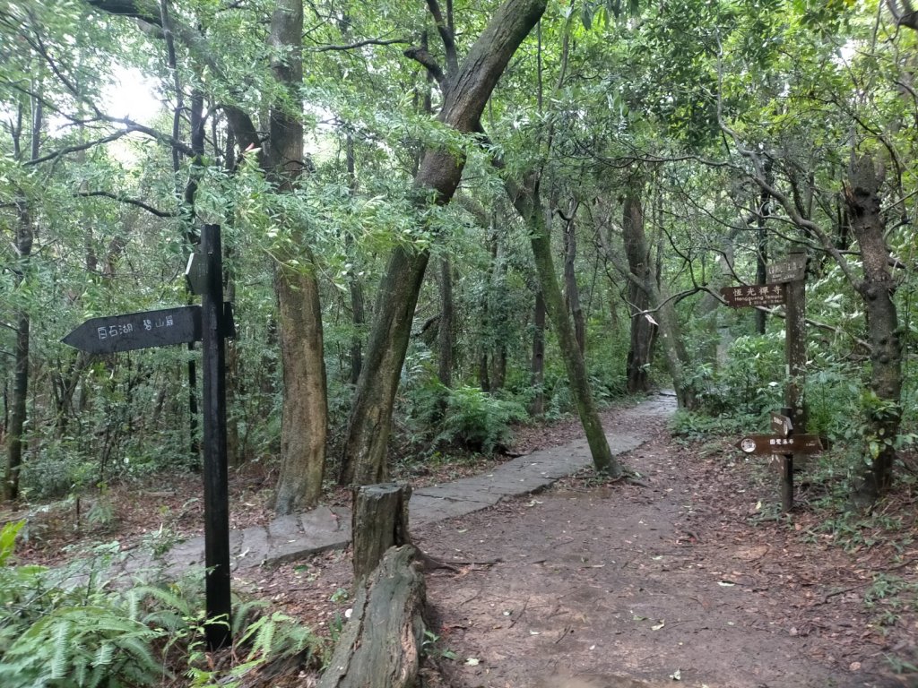 壹北大縱走第四段：風櫃嘴至大湖公園_2809589