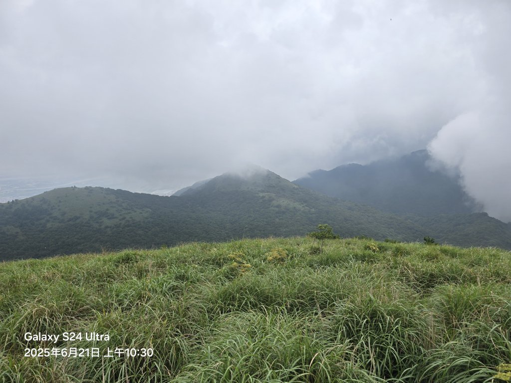 2025-06-21臺北大縱走第二段：二子坪至小油坑_2821057