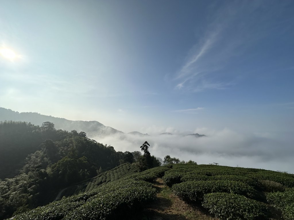 雲嘉十八連峰_1932578