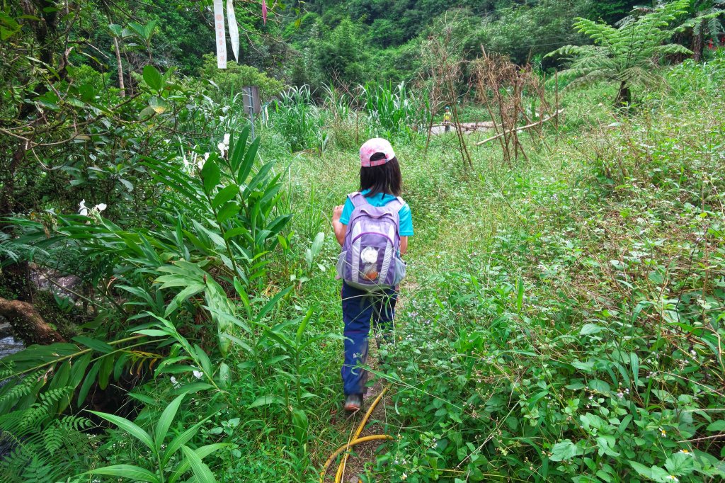 淡蘭古道中路之中坑、崩山坑古道O型_685708