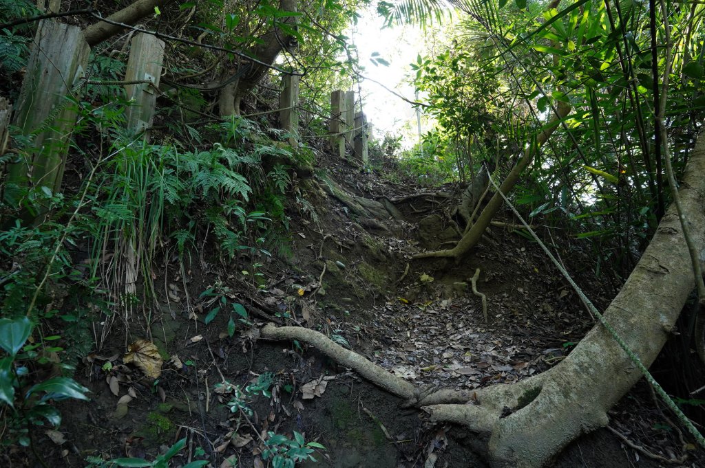 臺中 霧峰 奧山、砲台山_2715364