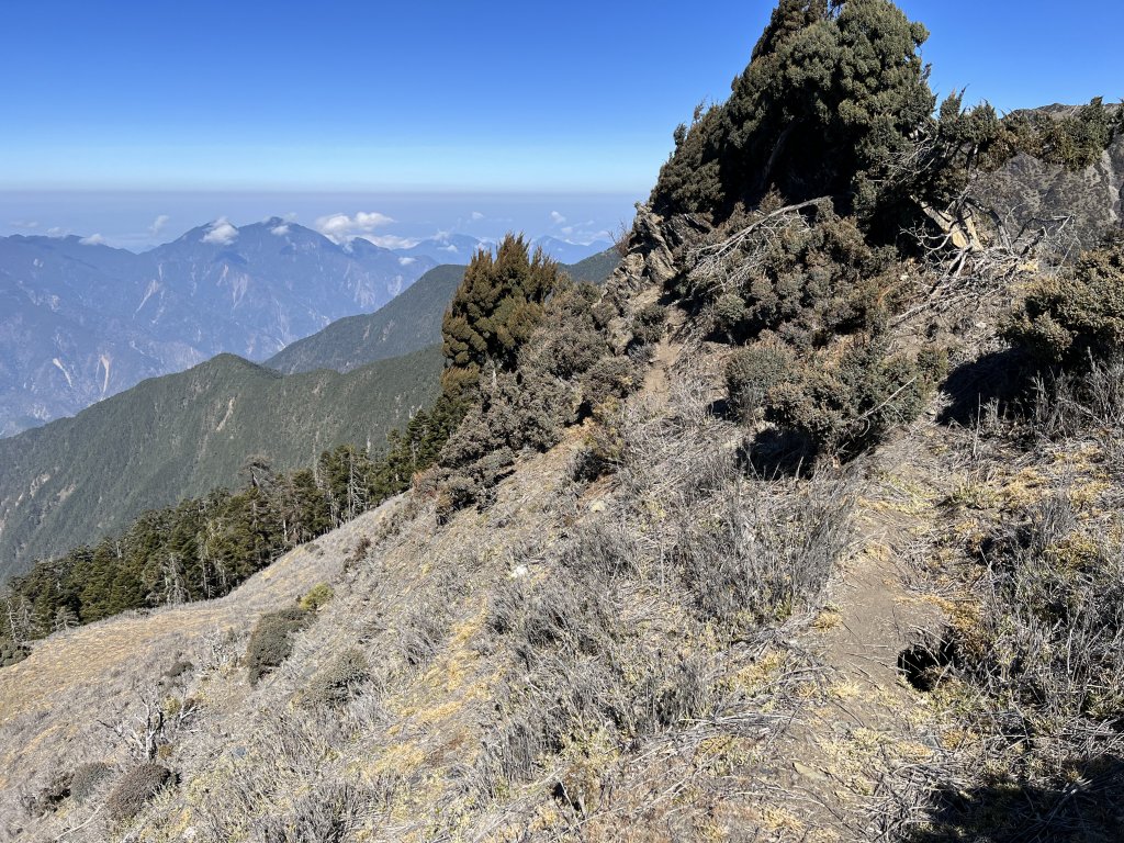 【南三段逆走】D3 東巒大山無敵大草原_2031302