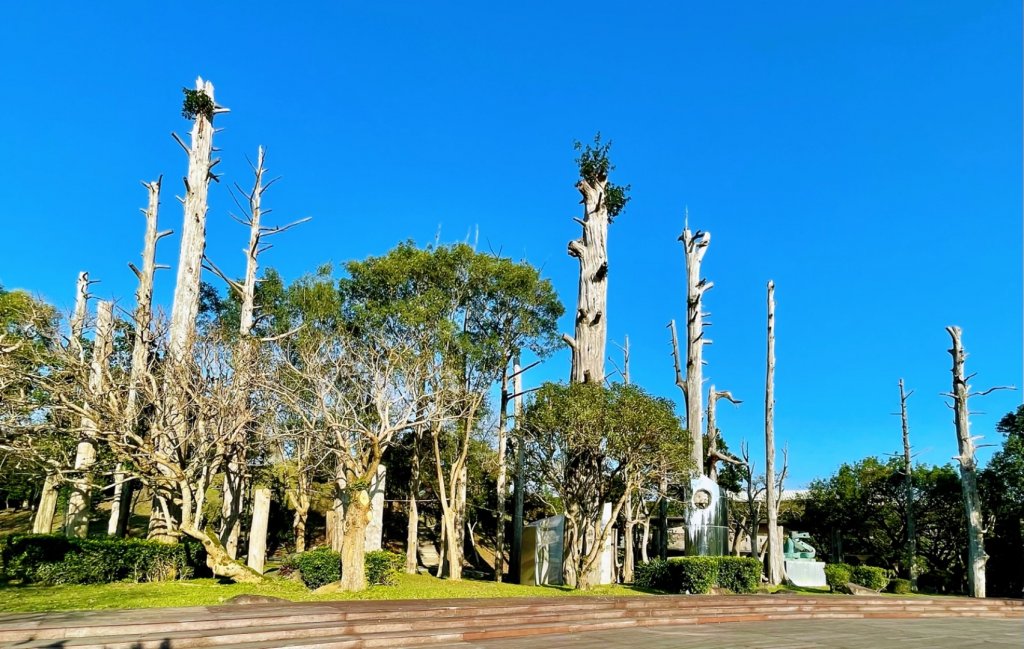 20220116_宜蘭中央公園、冬山河親水公園、林美盤石步道、羅東梅花湖步道_1583994