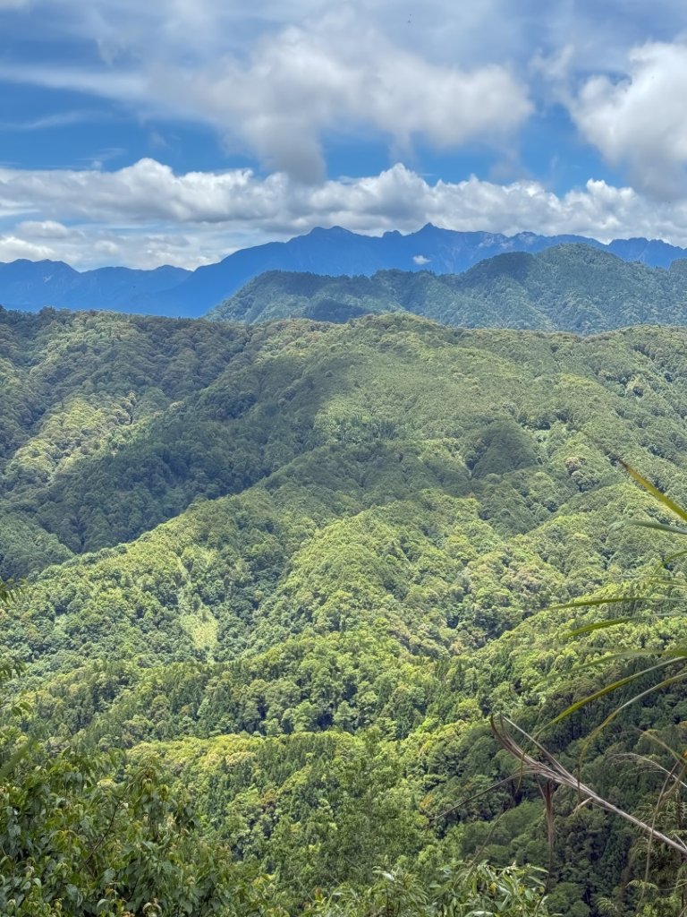 鹿屈山-杉林溪賞花趣_2816479