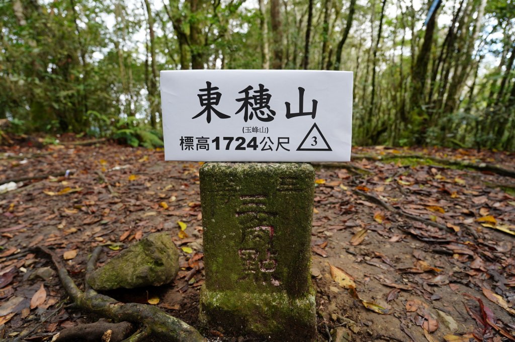 新竹 尖石 魯壁山、東穗山封面圖