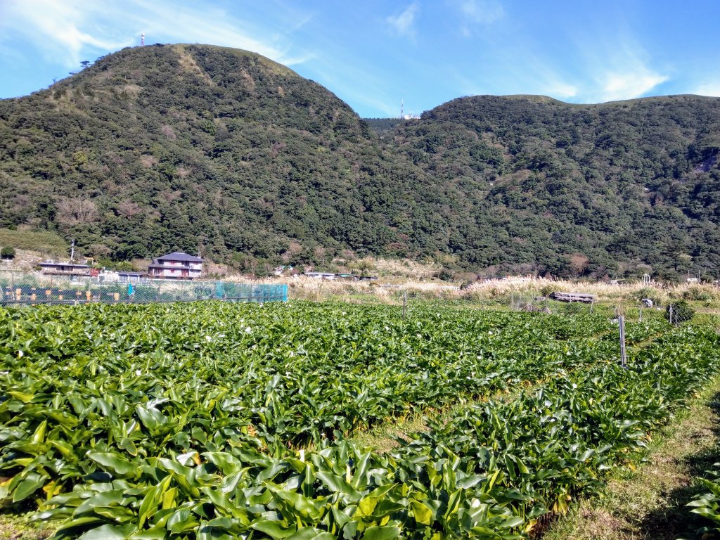 臺北大縱走第二段：小油坑-大屯山-清天宮_800004