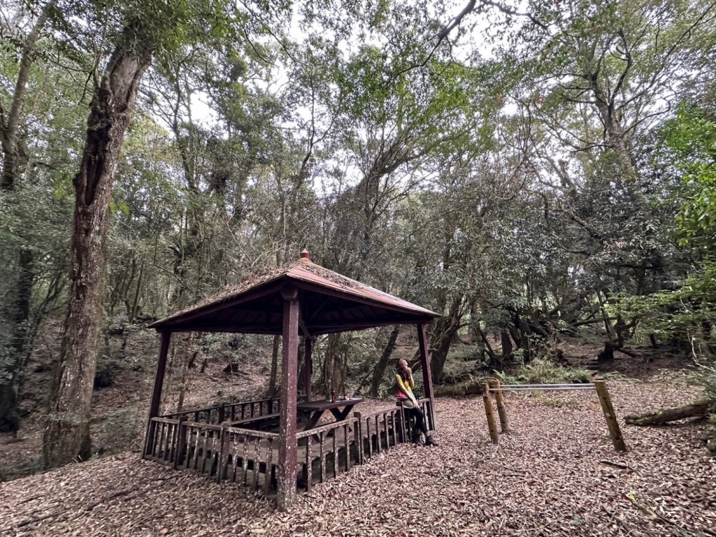 金柑樹山 杉林溪森林遊樂區_2449183