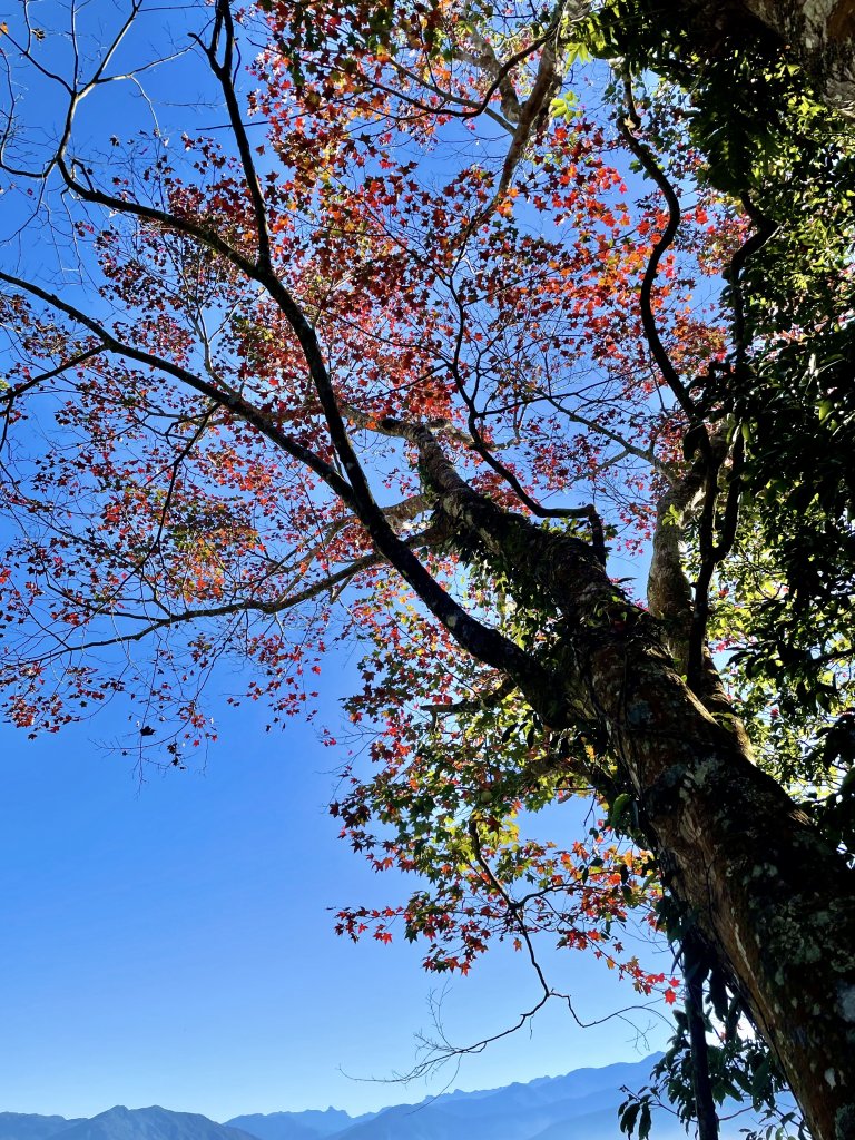 馬拉邦山-楓情萬種_1545594