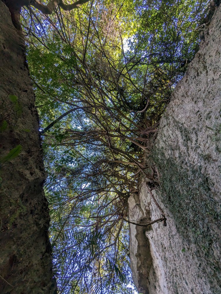 再訪半屏山尋南山神壽寶石。豐富的地形地貌及生態環境_1965712