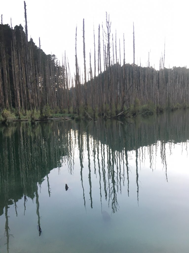 水樣森林 第一次在山裡過夜_658641