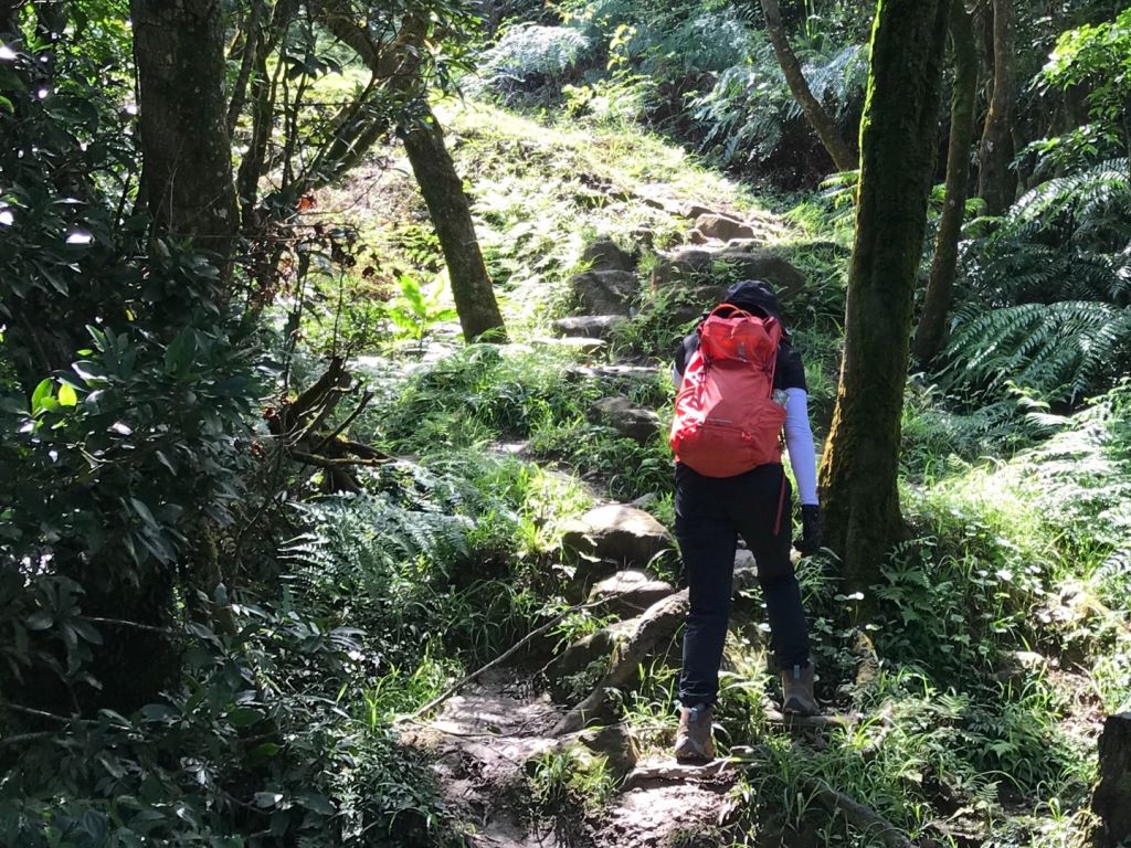 汐止大尖山連走四分尾山_350276