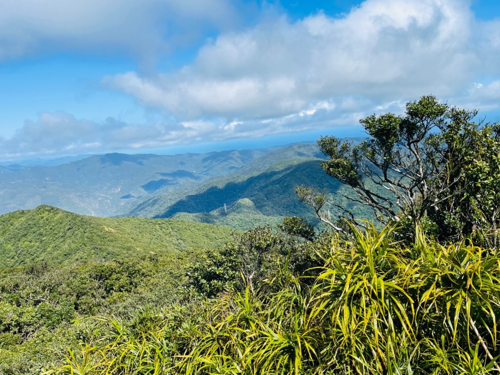 1150123里龍山_2986700