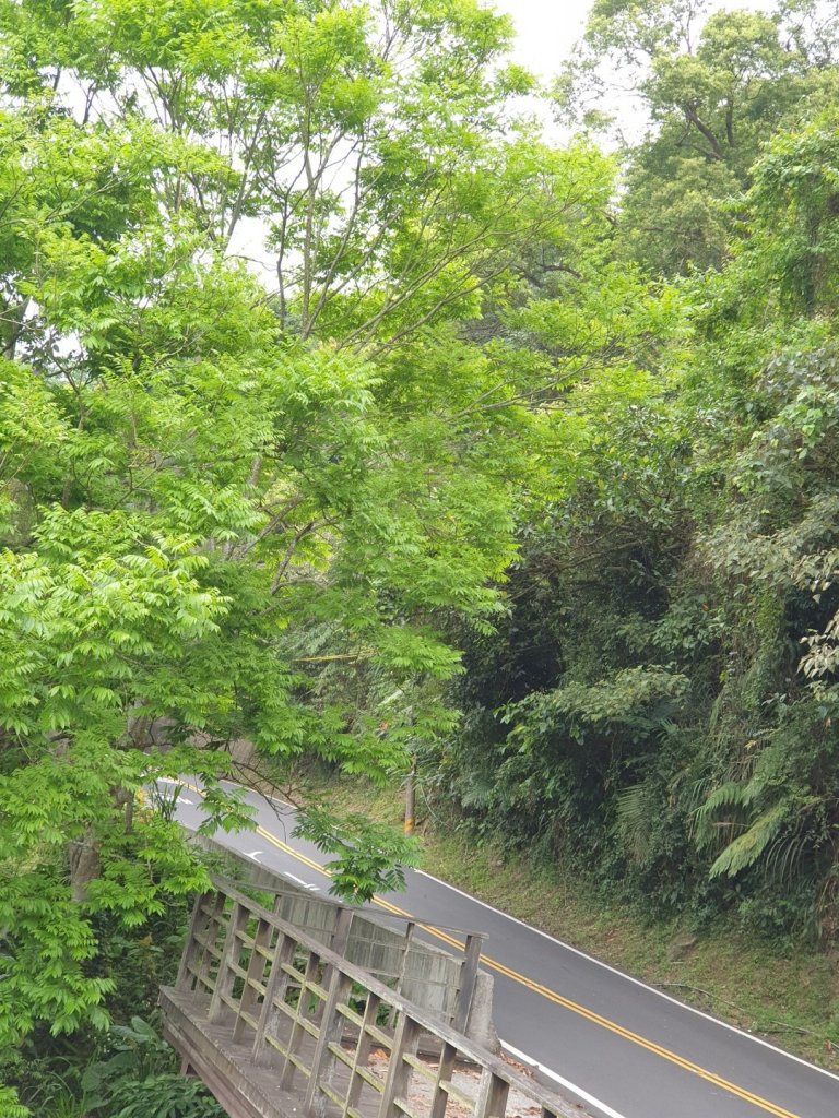 20200405 仙人堀_904473