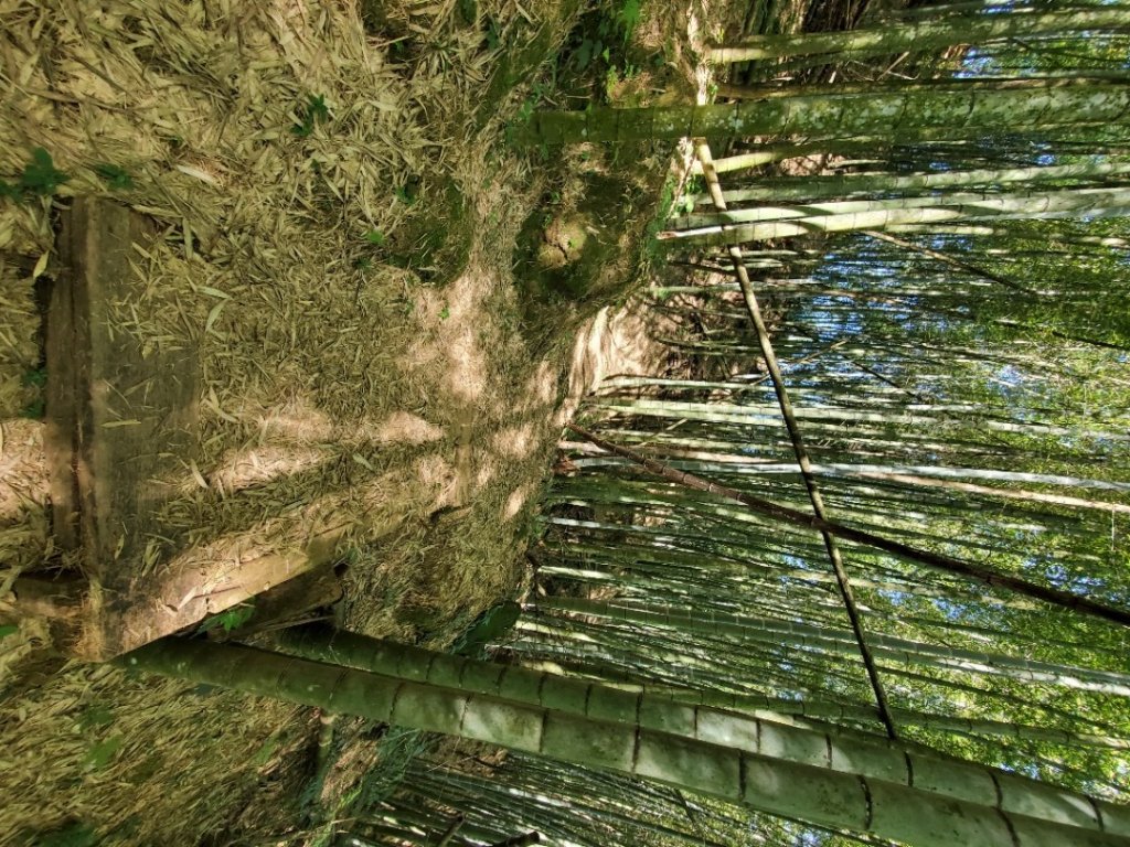 【步道巡訪員】四大天王山步道10月巡訪_1117589