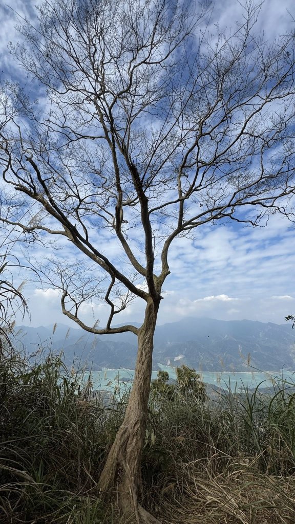 20260127小百岳三腳南山_2990288