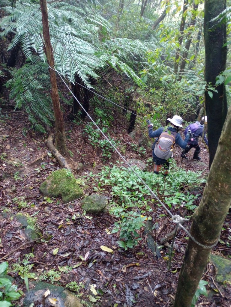 雷公埤山-鱷魚島觀景-小格頭獅頭山_2001478